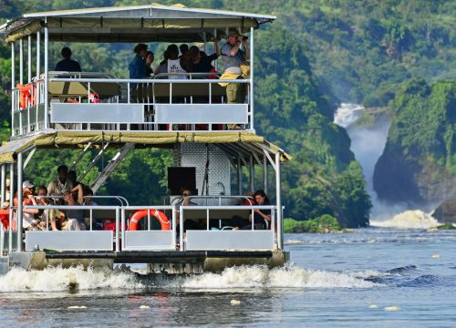 3-Day Murchison Falls Vacation