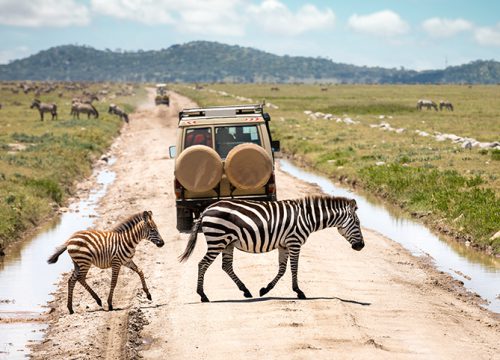 Serengeti Safari – 6 Day Trip