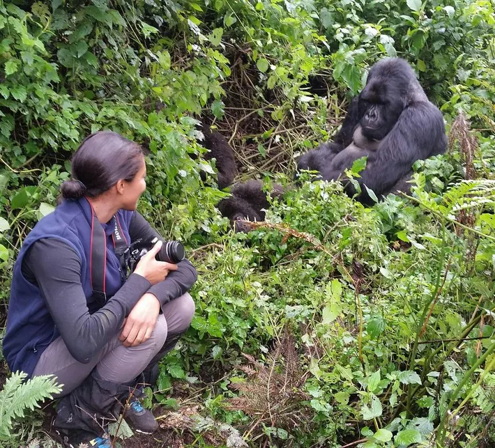 Gorilla Trekking